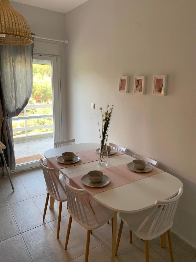 Gerakini apartment Psakoudia Bagian luar foto