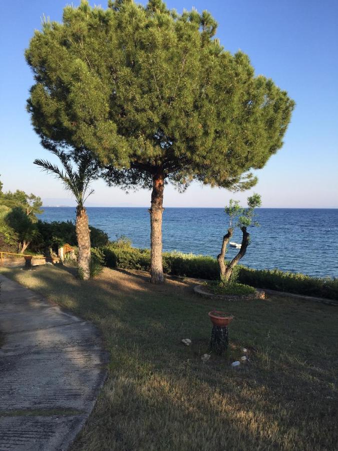 Gerakini apartment Psakoudia Bagian luar foto