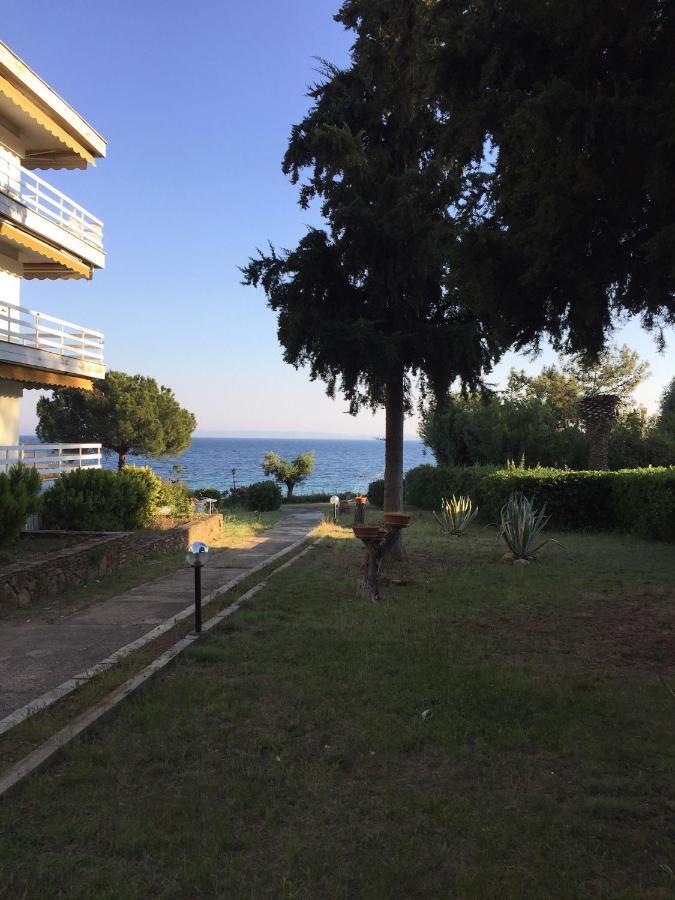 Gerakini apartment Psakoudia Bagian luar foto