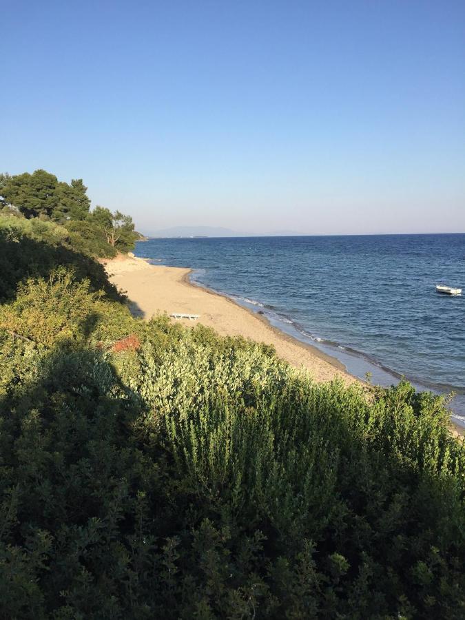 Gerakini apartment Psakoudia Bagian luar foto